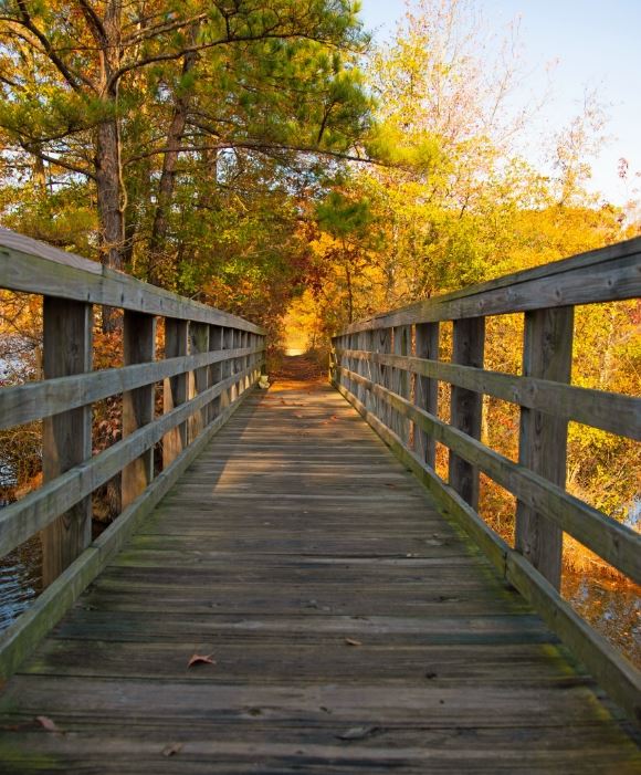 Walkway on trail over bridge